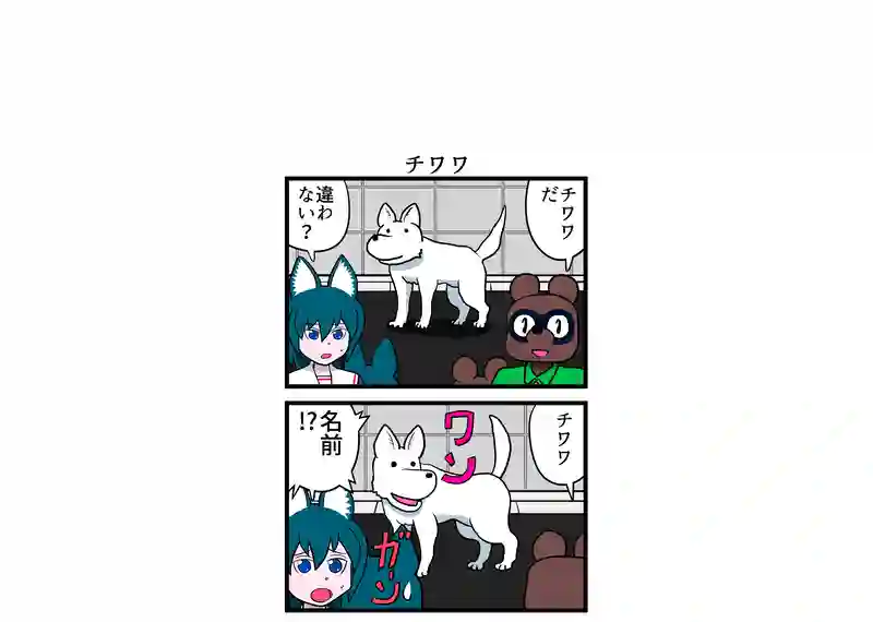チワワ