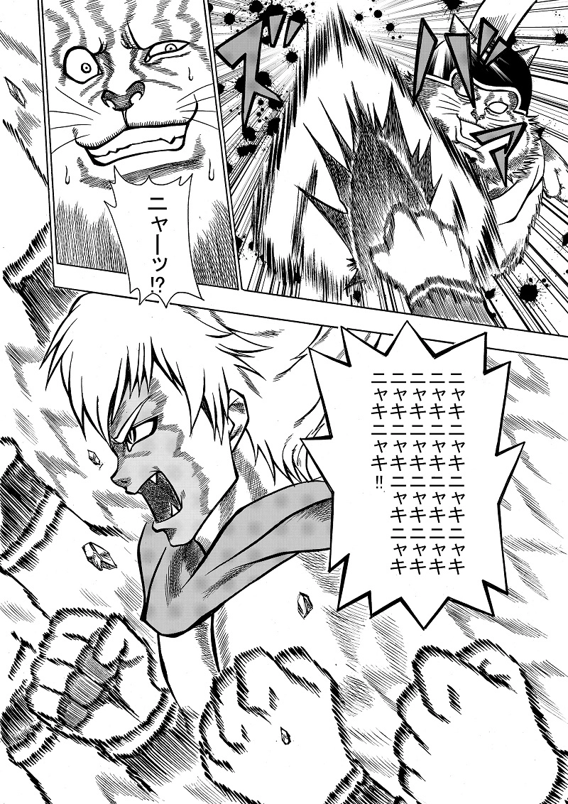 シュレディンガーの猫