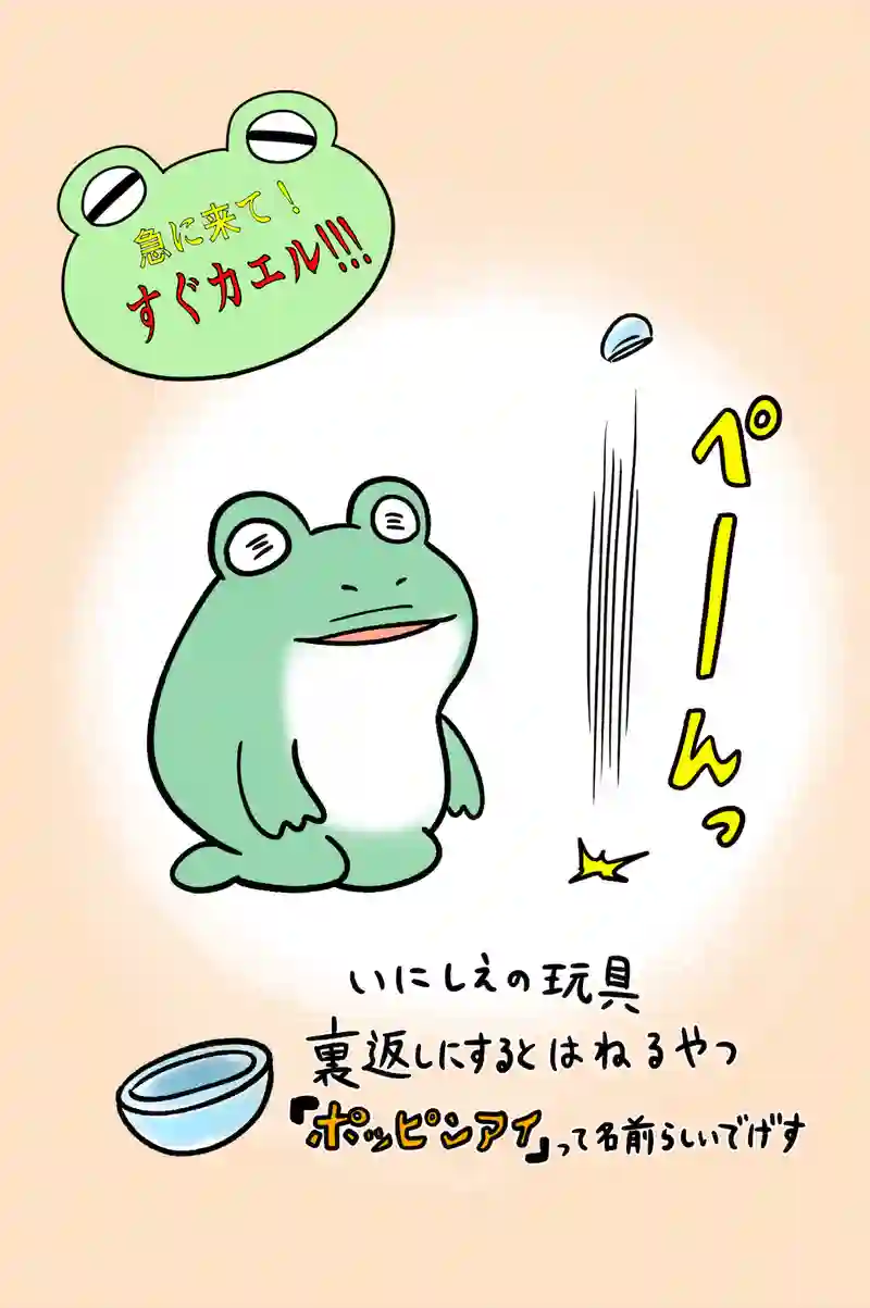 急に来てすぐカエル(60)