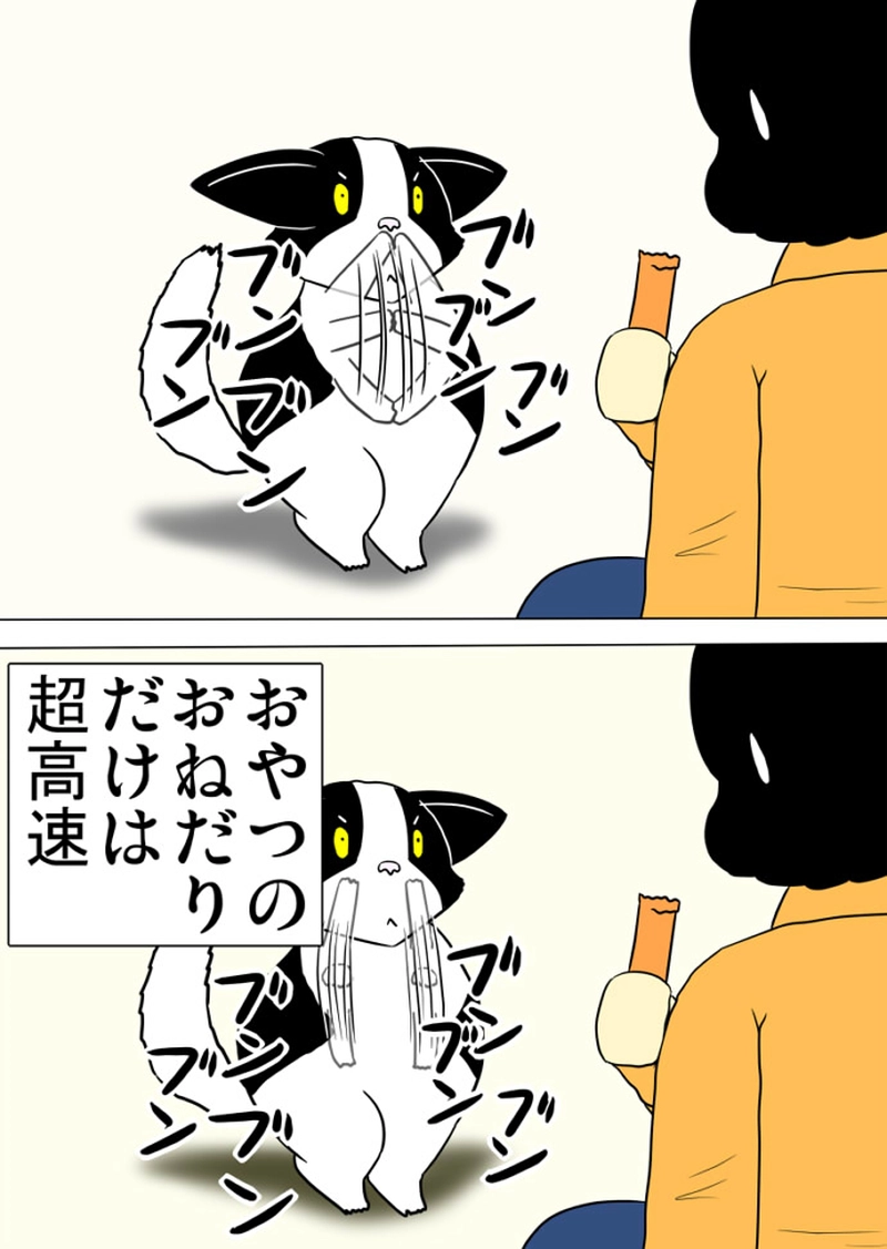 ミーのおもちゃ箱 第1421話～第1424話