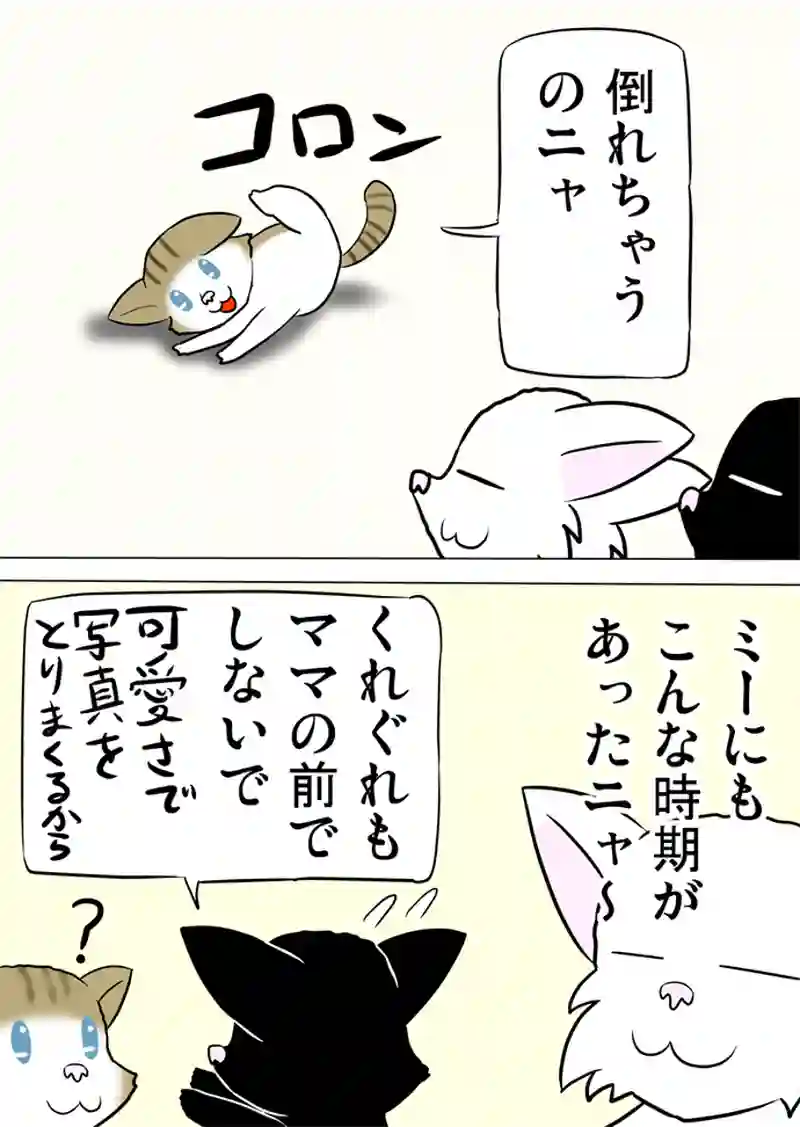 ミーのおもちゃ箱　第933話～第938話