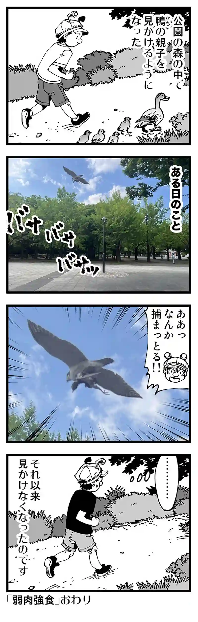 【普通】見なくなった