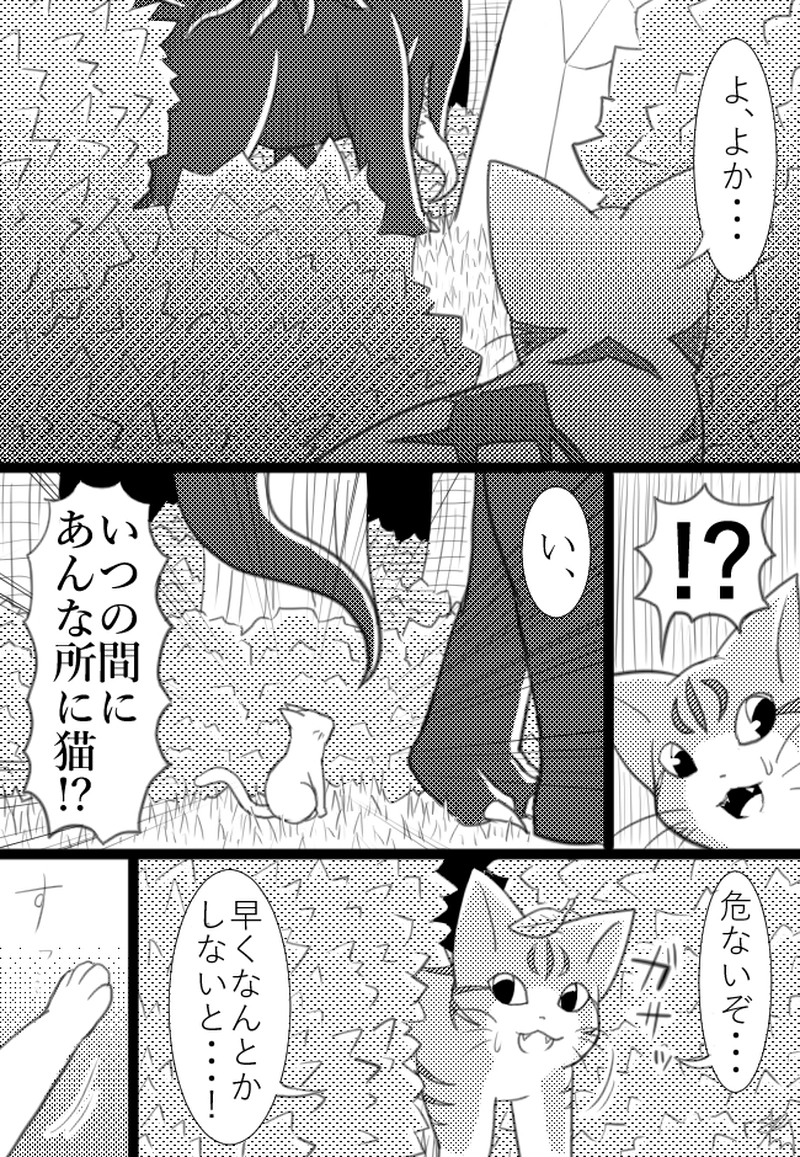 3匹目「キャッツアンドユニバース」