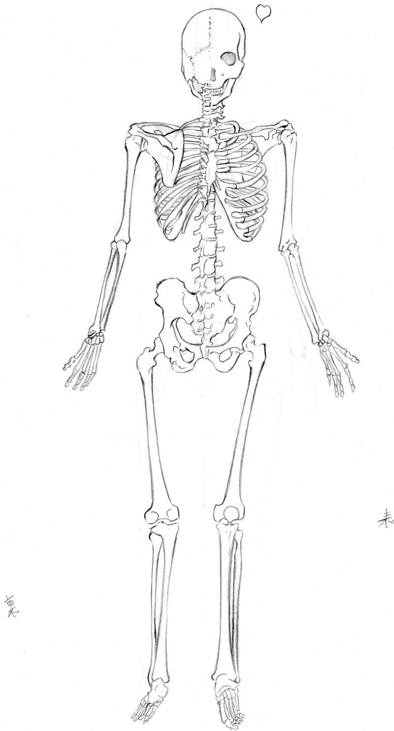#30　『過去のイラスト類』
