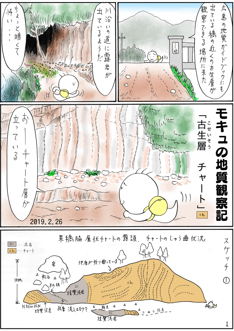 古生層　チャート