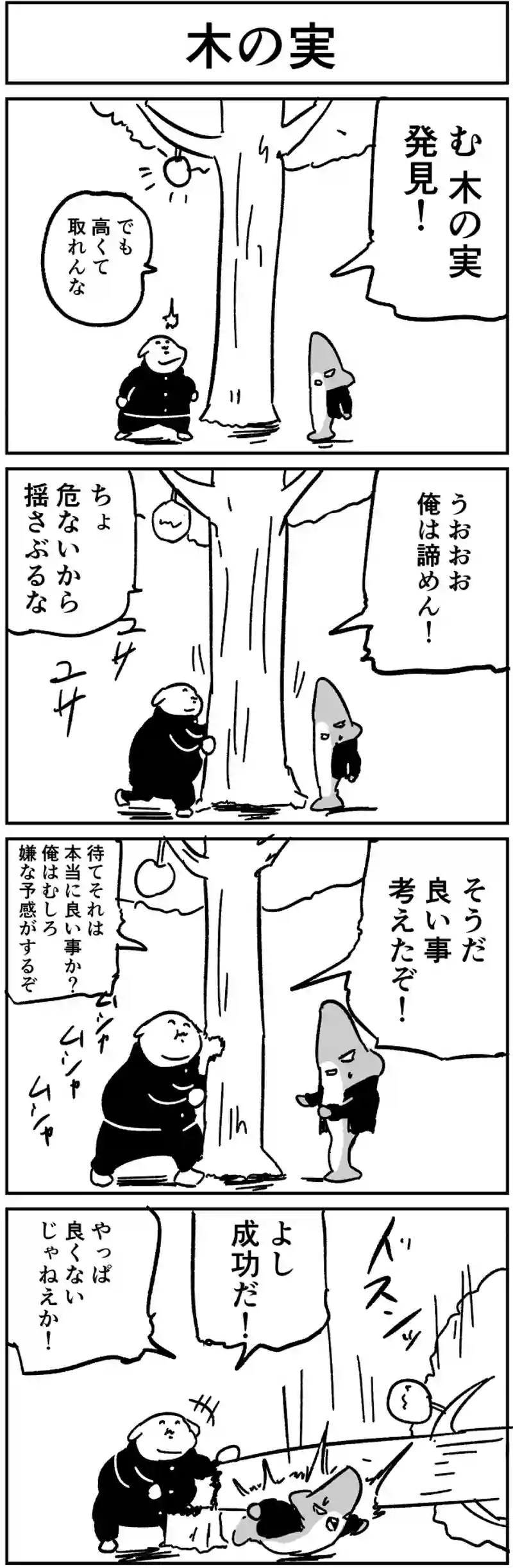 木の実