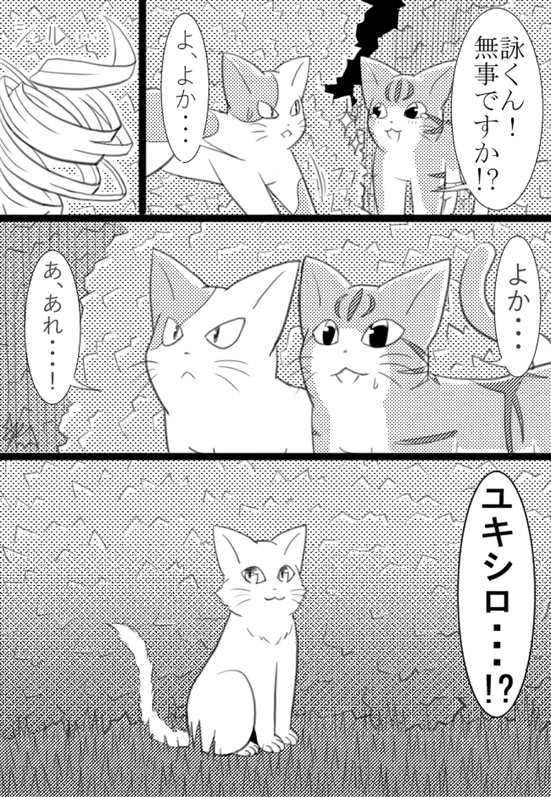 3匹目「キャッツアンドユニバース」