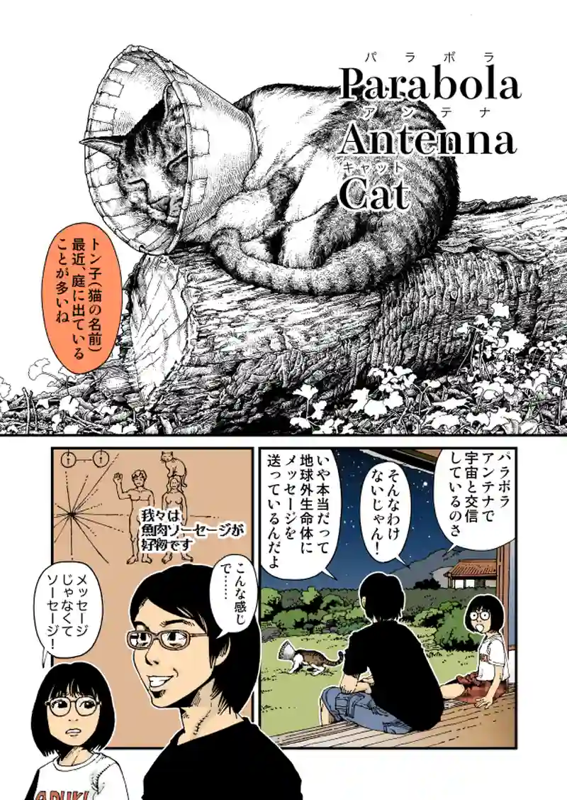 【StoF】Parabola Antenna Cat