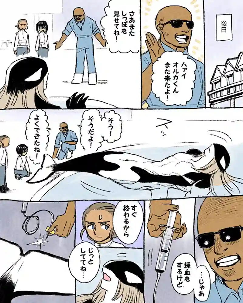 モルトバール８