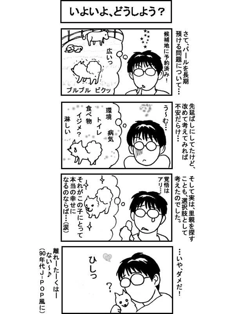 ボクとポメのドタバタ生活、一年間　その35（141～145話）