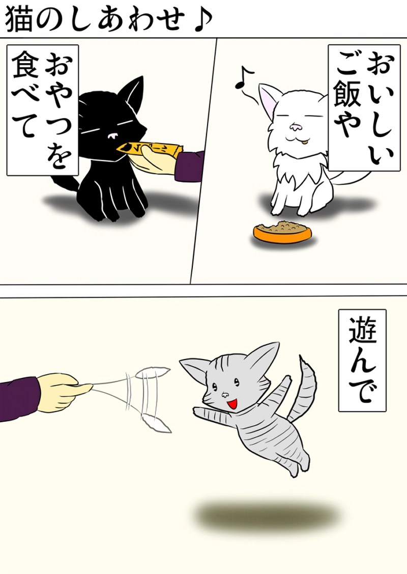 ミーのおもちゃ箱 第1258話～第1263話