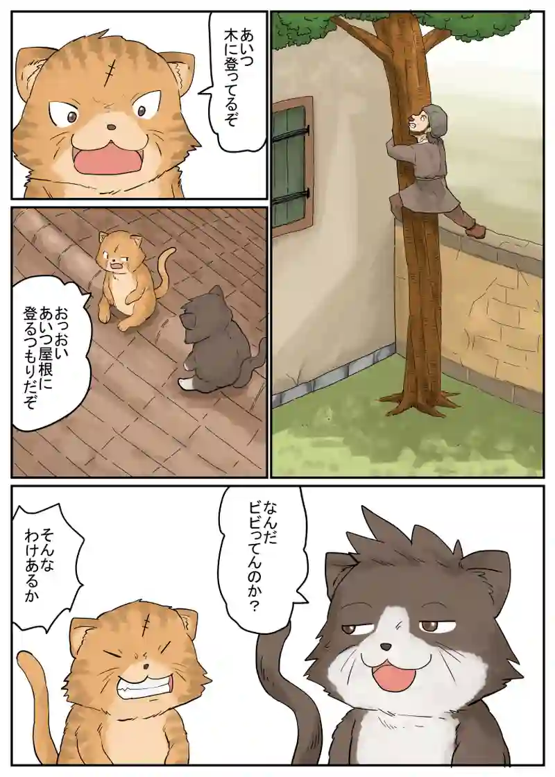 ネコとドロボウ
