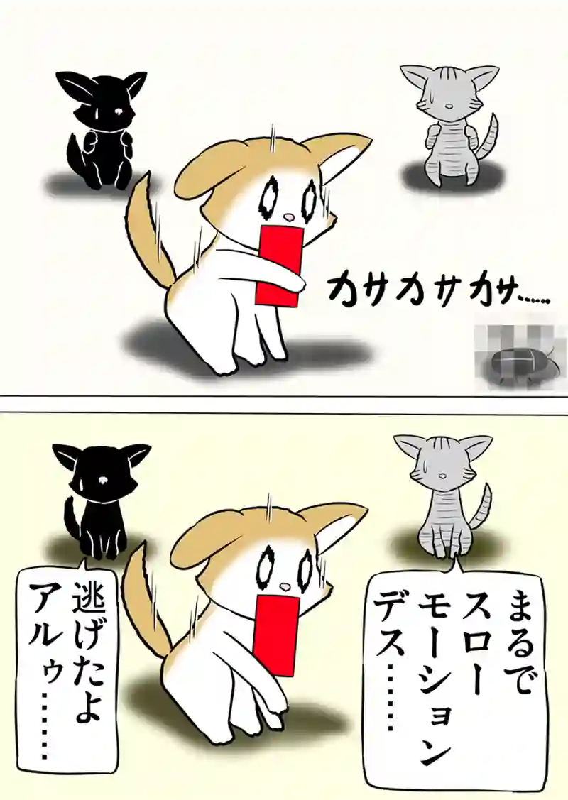 ミーのおもちゃ箱　第939話～第944話