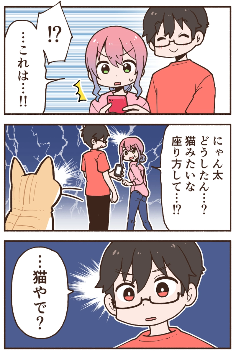 【◯◯猫②】座り姿が◯◯みたいな猫