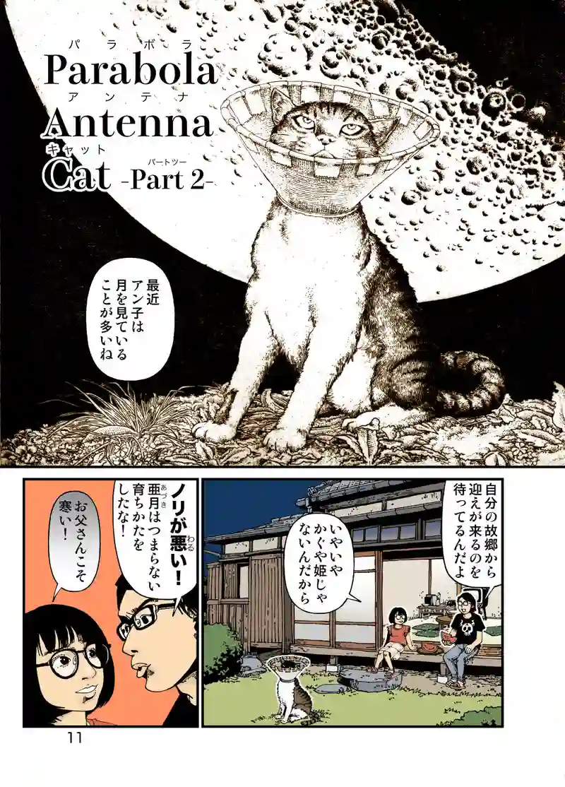 Parabola Antenna Cat -Part 2-