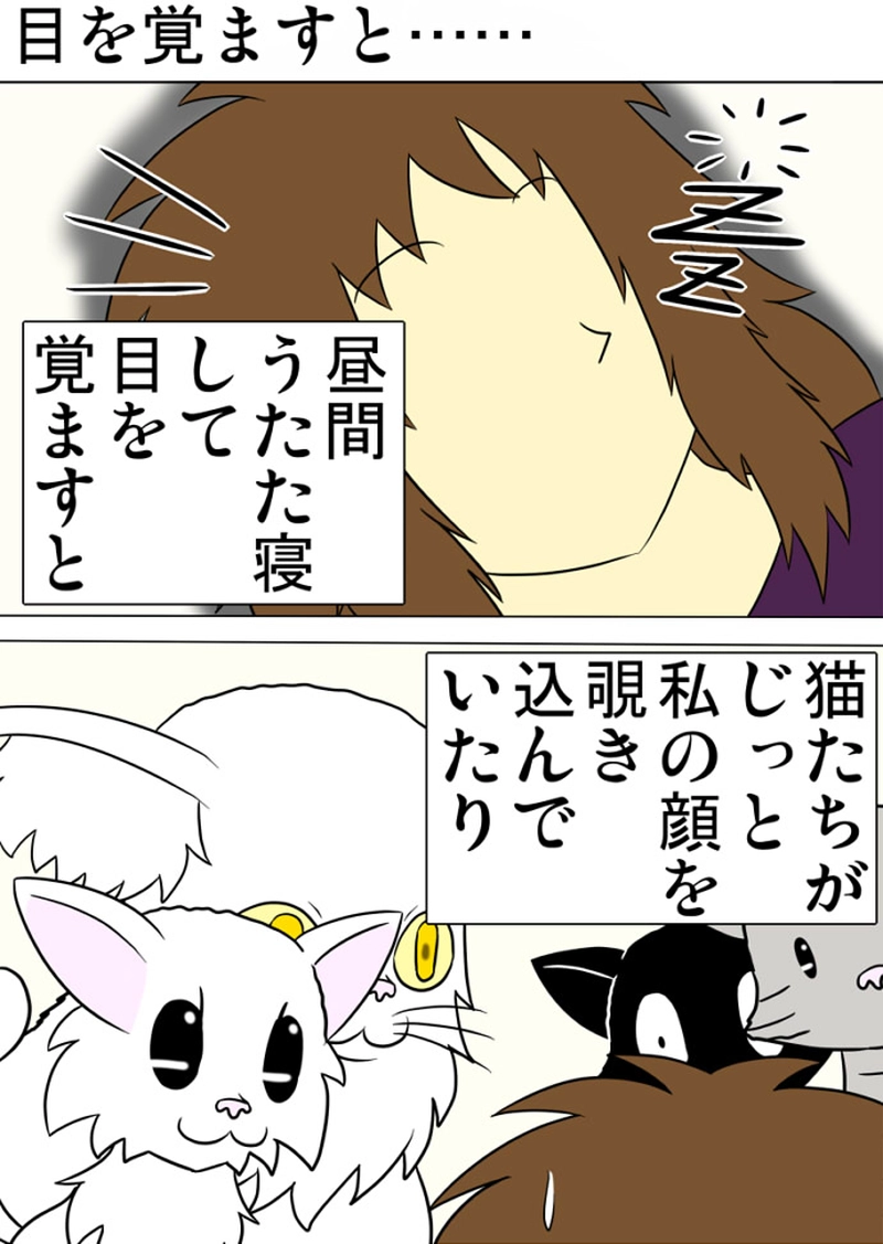 ミーのおもちゃ箱 第1294話～第1299話