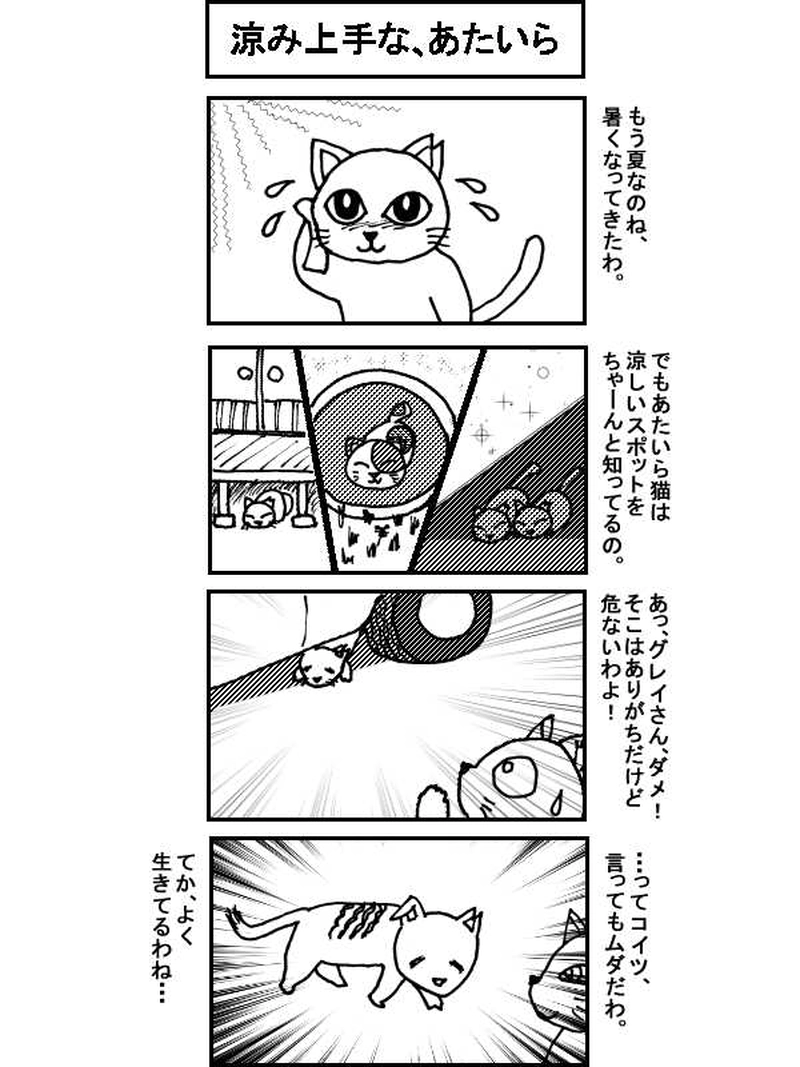 〇〇猫のなかまたち～サクラカットネコの日々　その７