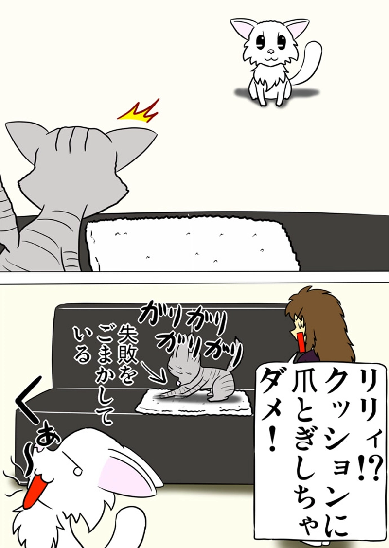 ミーのおもちゃ箱 第1336話～第1341話