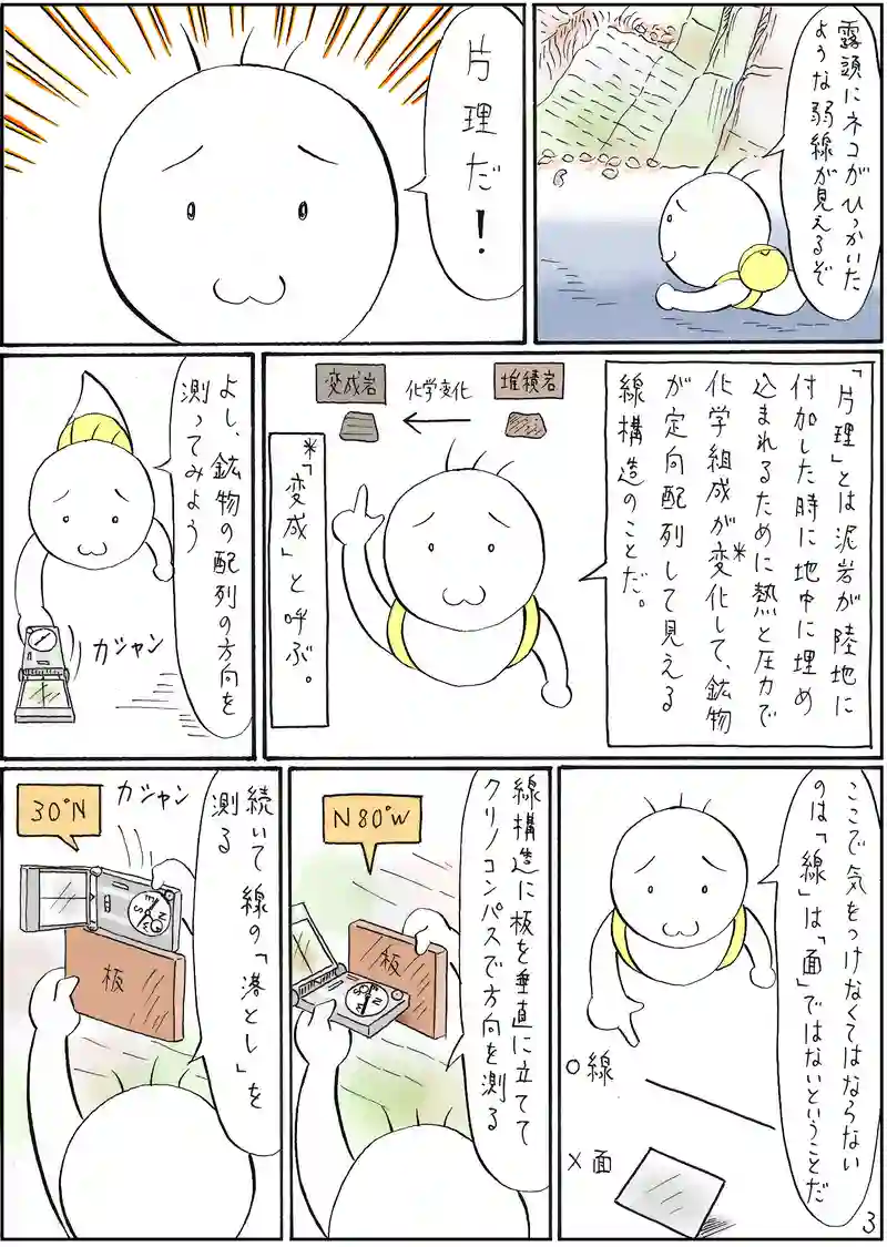 古生層　泥岩
