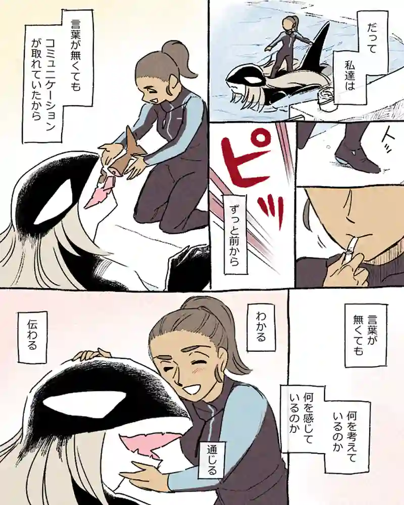 モルトバール１１