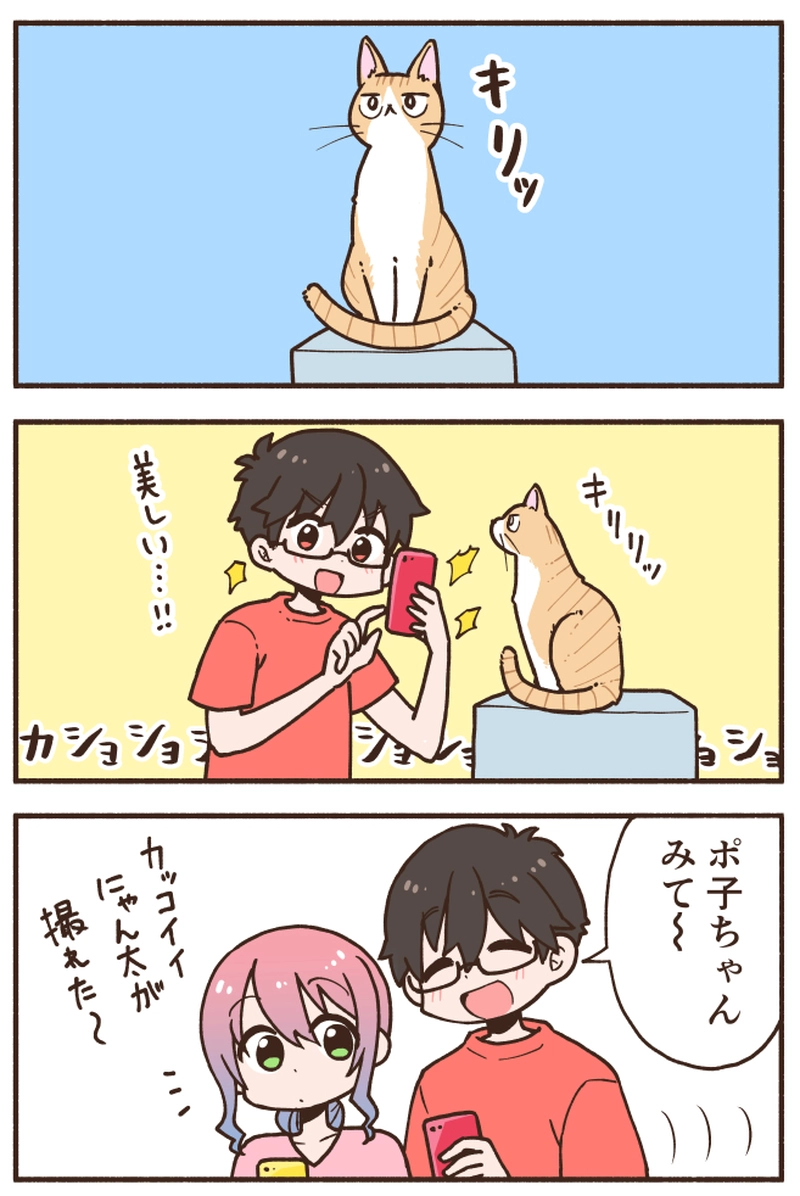 【◯◯猫②】座り姿が◯◯みたいな猫