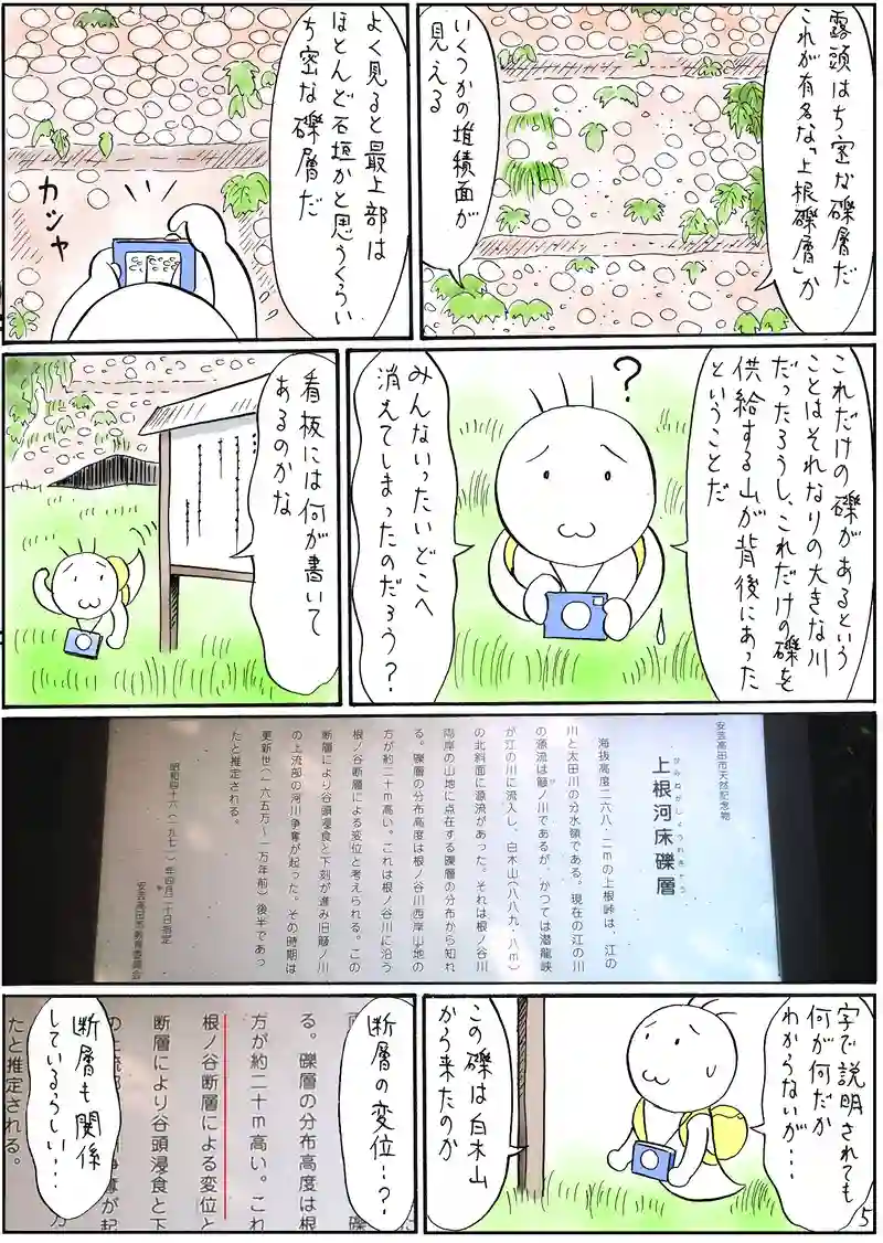 新生代　第四紀