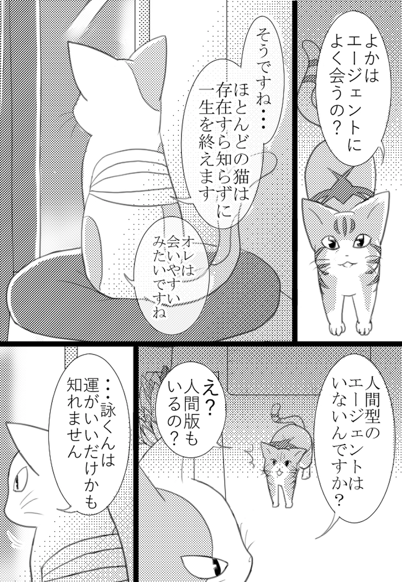 2匹目「キャッツナイト」