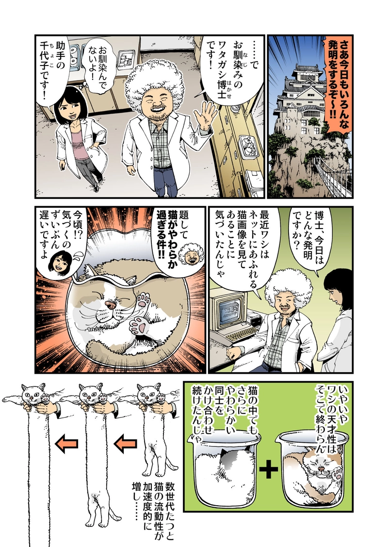  【StoF】あるいは猫でいっぱいの海