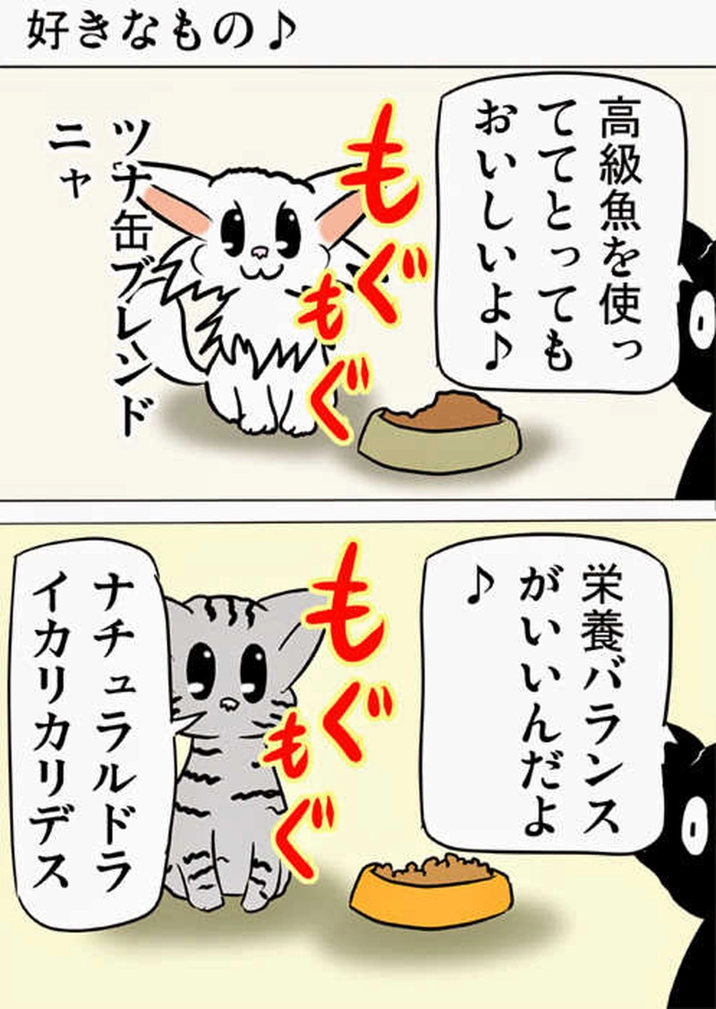 ミーのおもちゃ箱１６５話