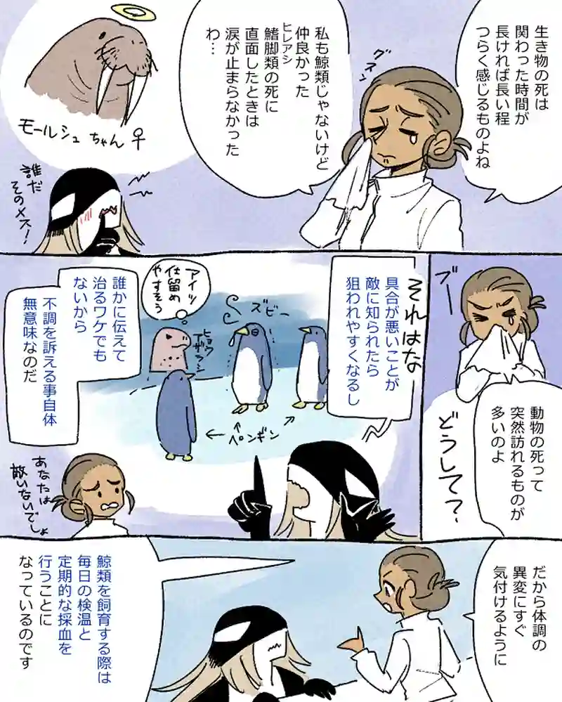 モルトバール９
