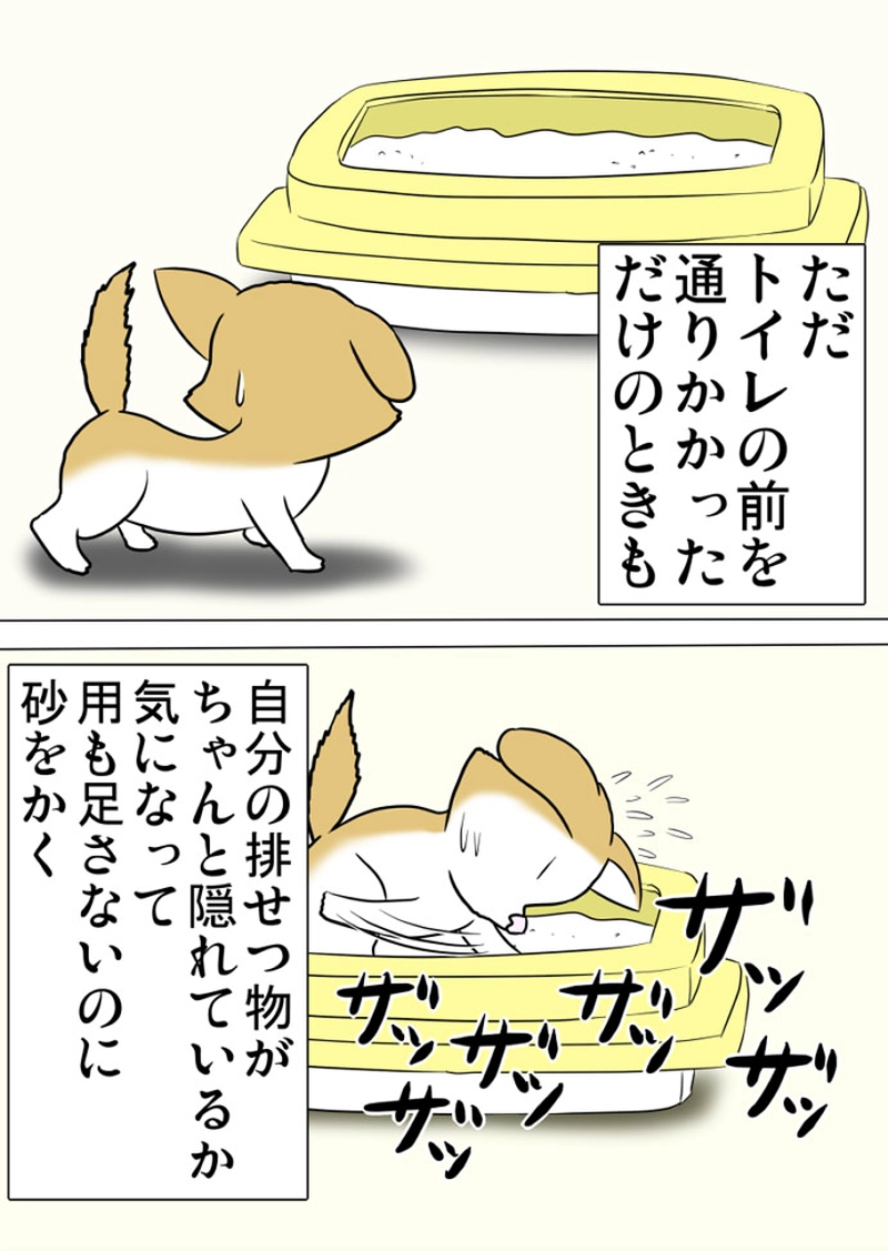 ミーのおもちゃ箱 第1300話～第1305話