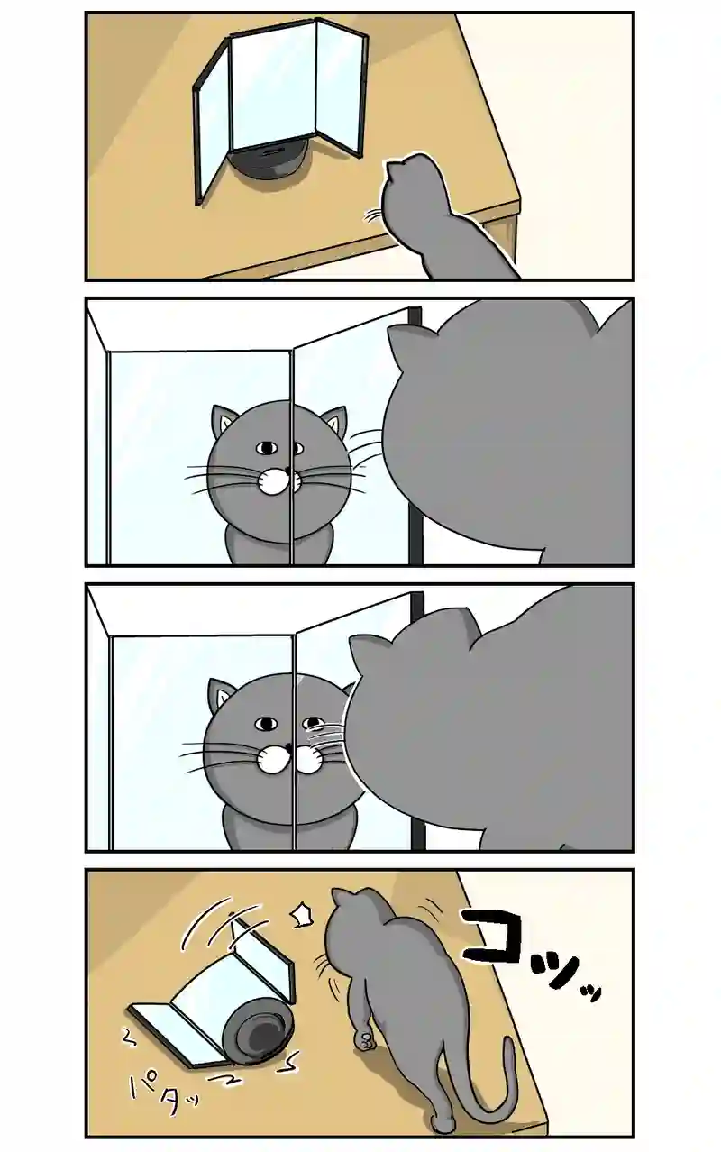 鏡の力