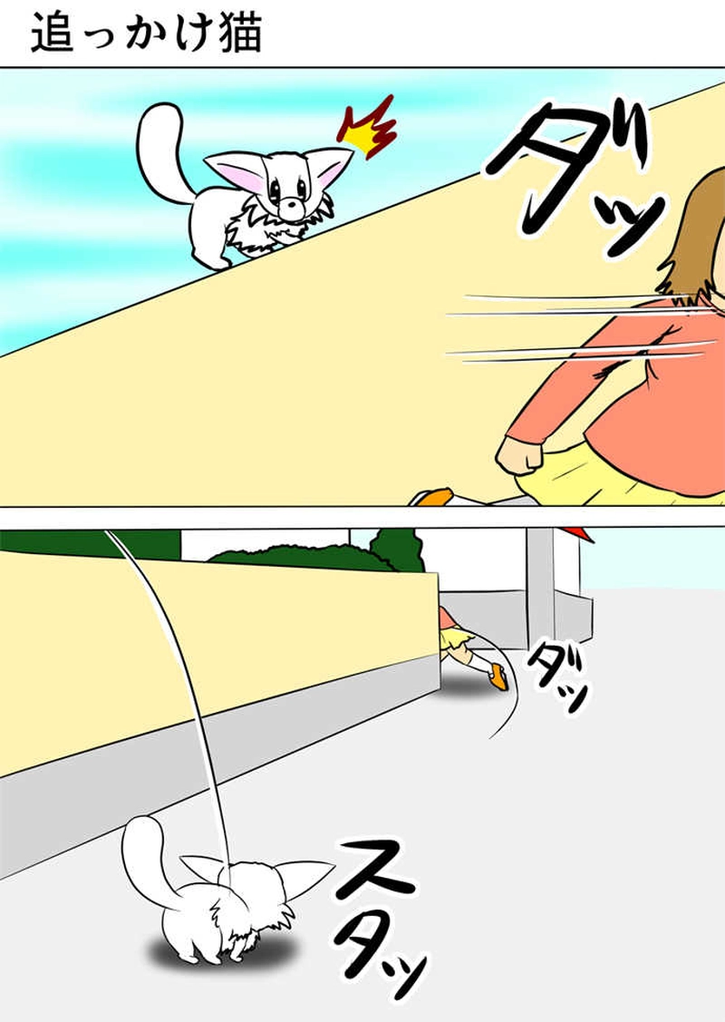 ミーのおもちゃ箱566話～第571話