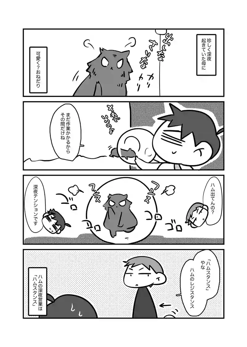 ハムスタンス