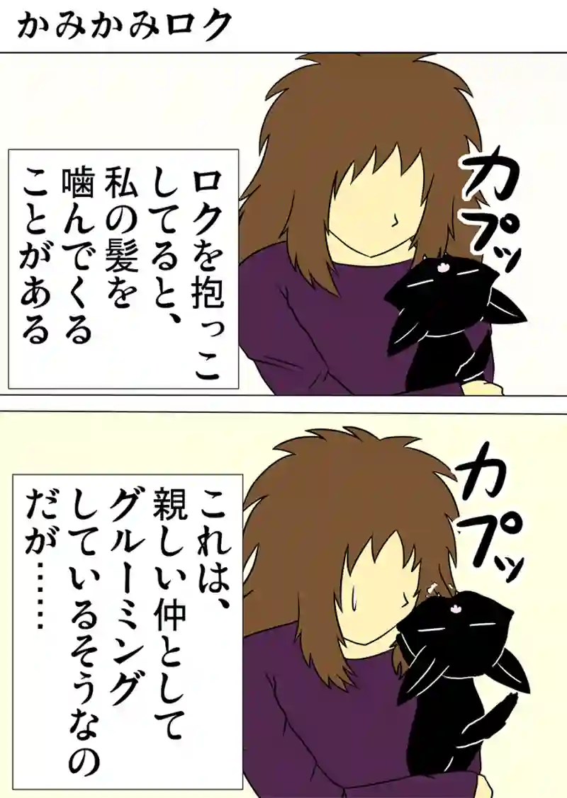 ミーのおもちゃ箱 第1005話～第1010話
