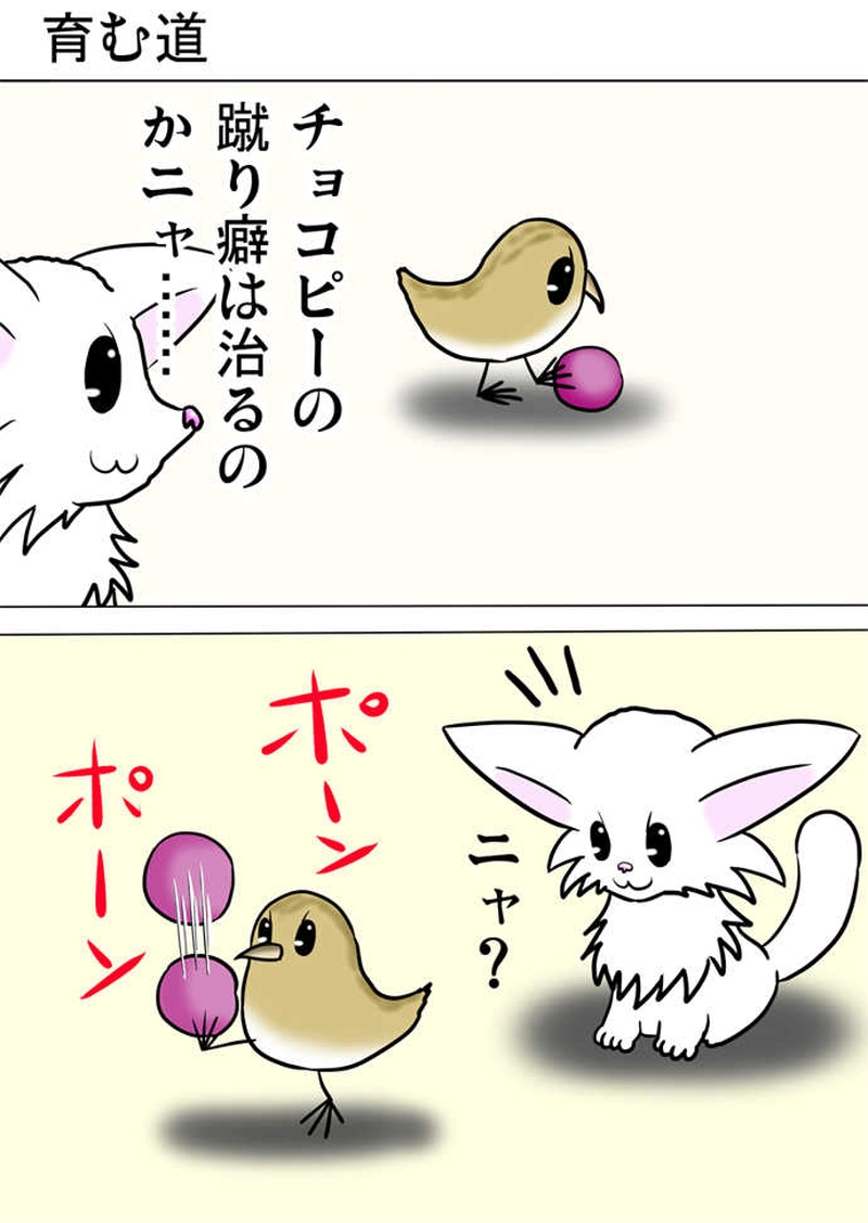 ミーのおもちゃ箱２５３話