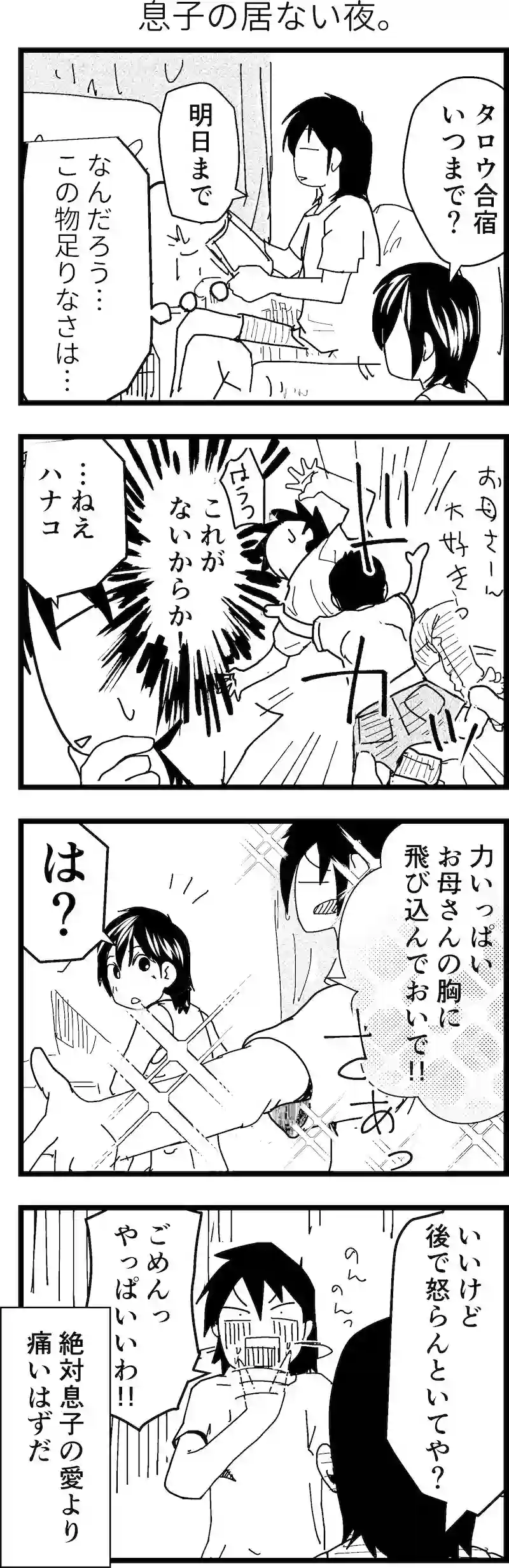 息子の居ない夜。