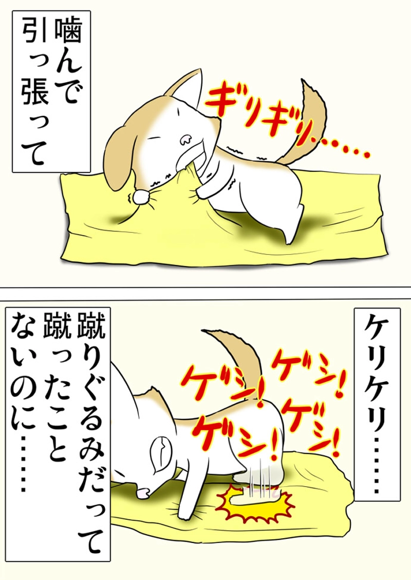 ミーのおもちゃ箱 第1421話～第1424話