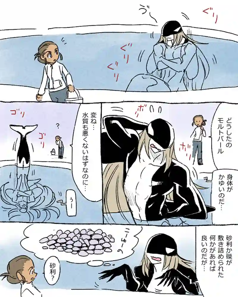 モルトバール６