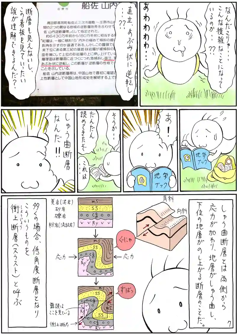 逆断層帯