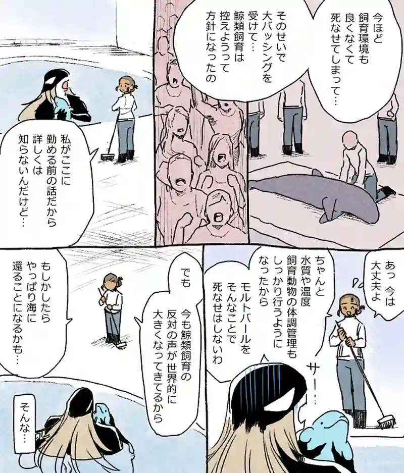 モルトバール９