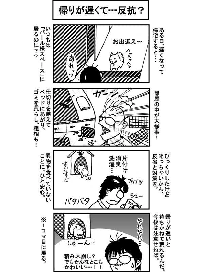 ボクとポメのドタバタ生活、一年間　その10（41～44話）