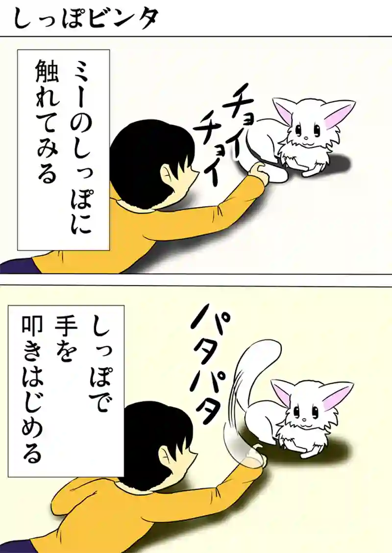 ミーのおもちゃ箱　第969話～第974話