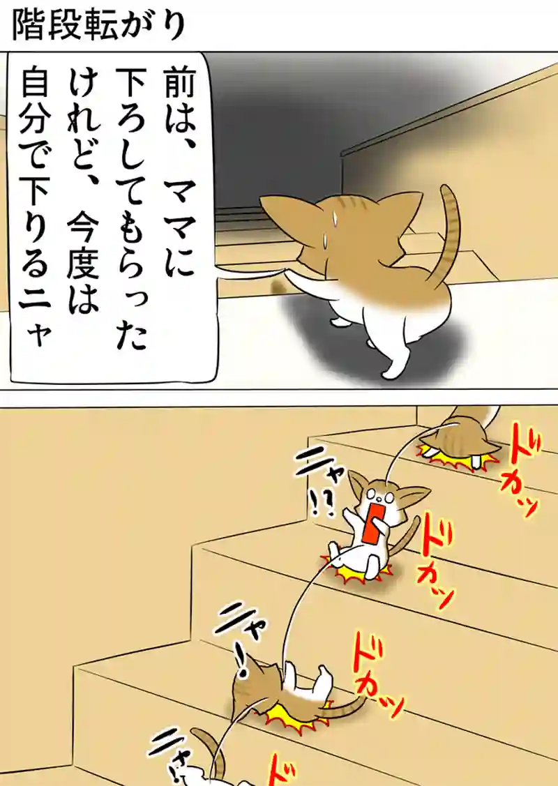 ミーのおもちゃ箱 第1053話～第1058話