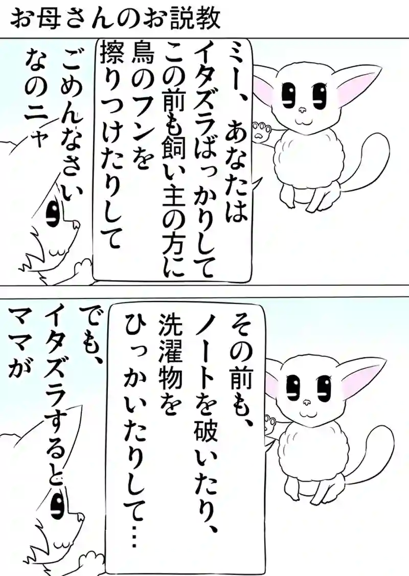 ミーのおもちゃ箱 第1053話～第1058話