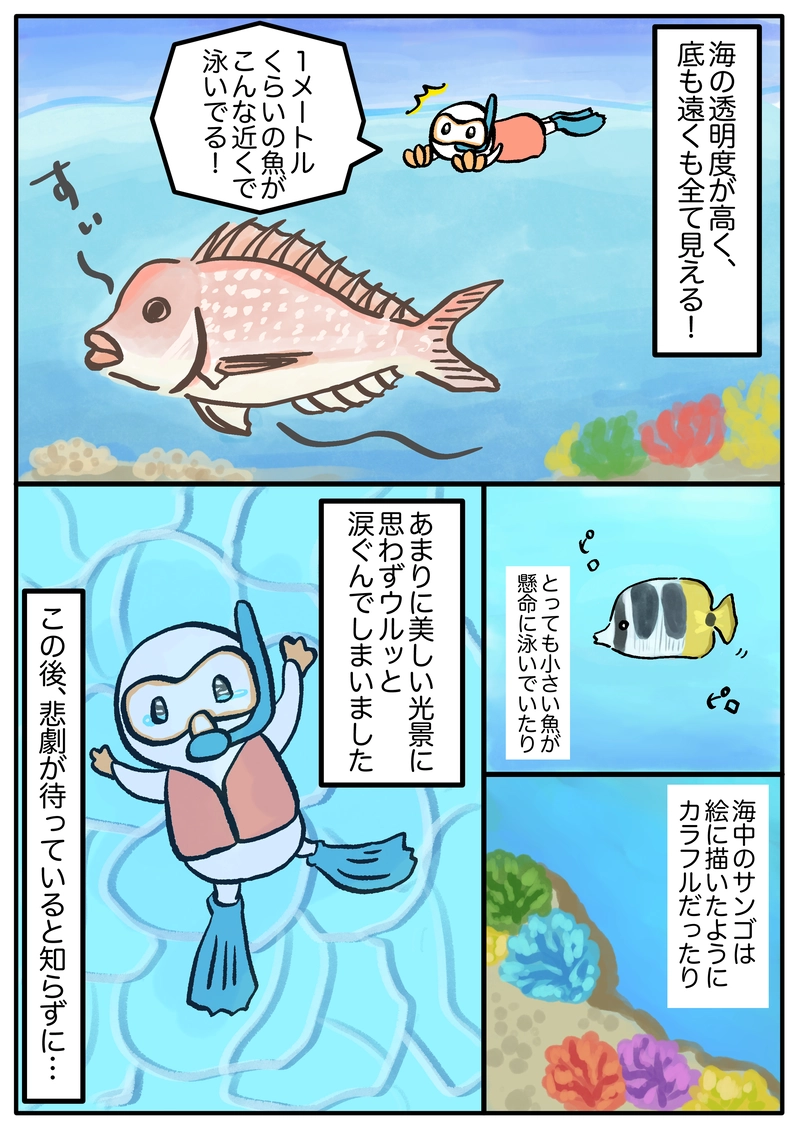 オーストラリアひとり旅 感動のシュノーケリング ももんご マンガハック 無料web漫画が毎日更新 オーストラリアひとり旅 感動のシュノーケリング ももんご マンガハック 無料web漫画が毎日更新