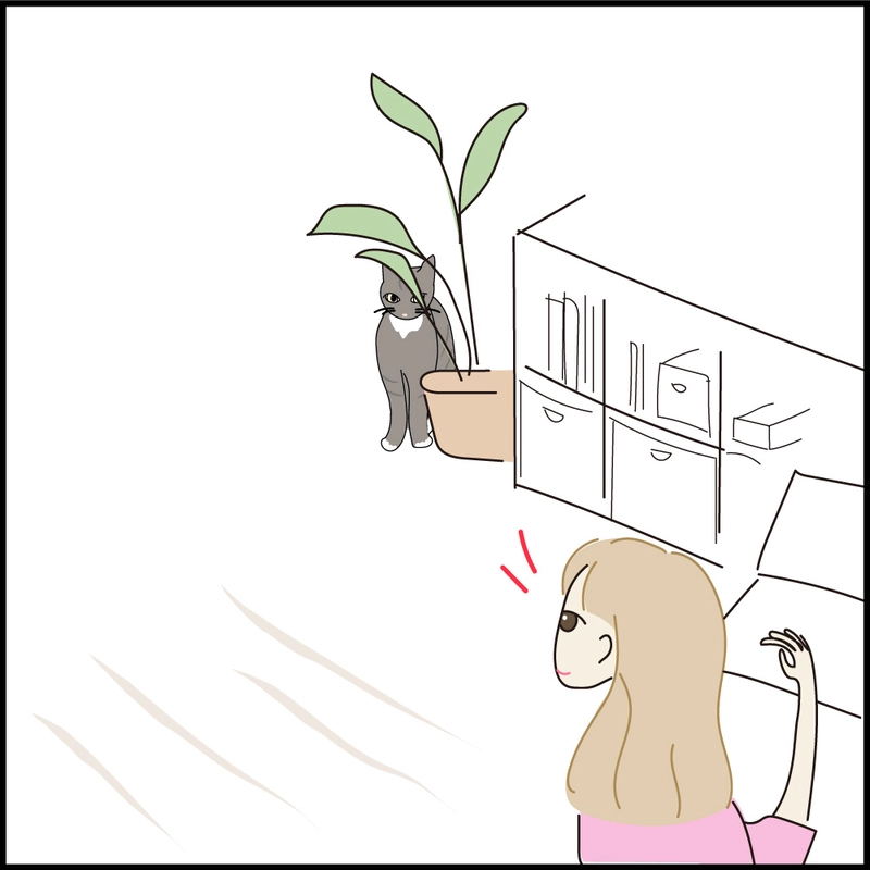 クロニクル1 プロ編　だるまさんがころんだ！のプロ