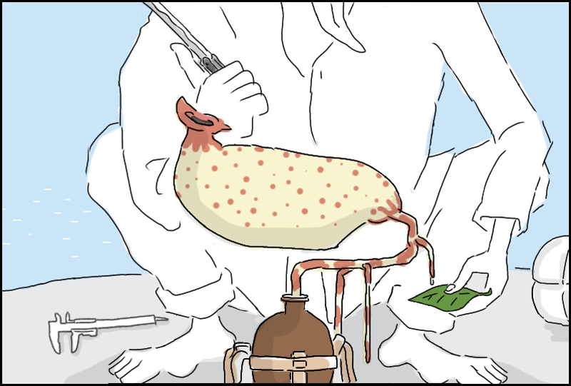 其ノ一のマイナス二十点吾くらい