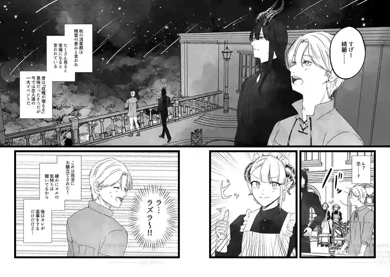 14 流星群の夜に