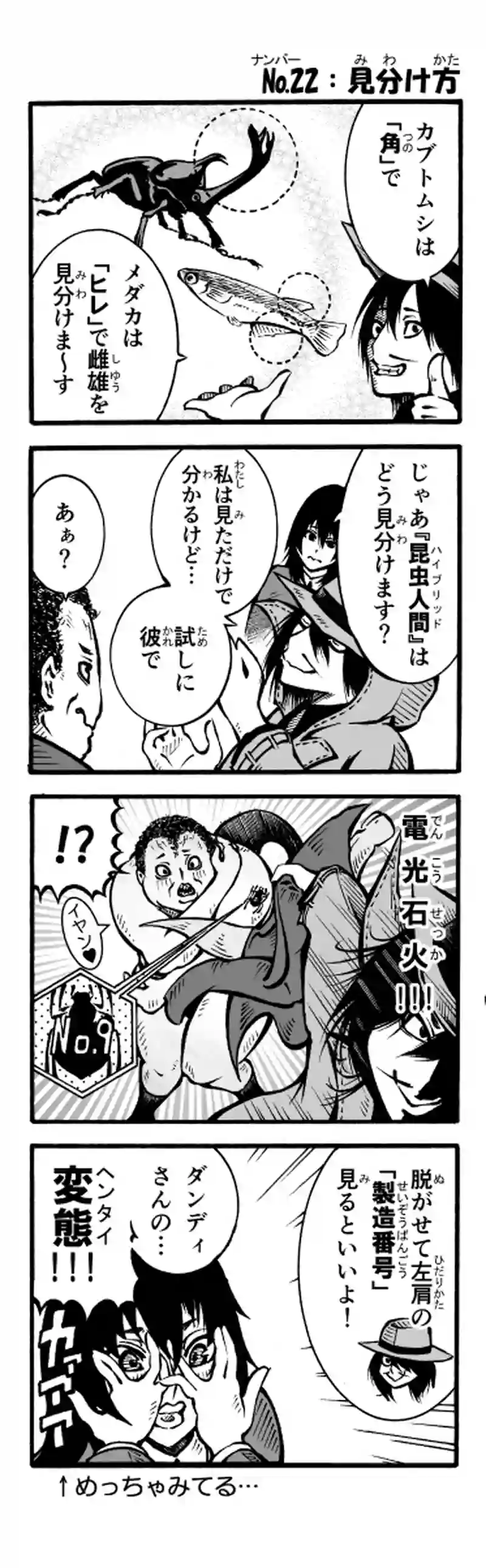 その71　見分け方